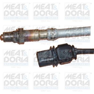 Oxygen Sensor